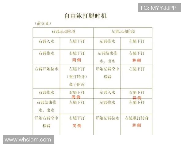 自由泳技巧详解 提升游泳效率与技巧的关键步骤分析