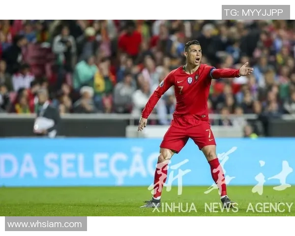 葡萄牙足球超级联赛激烈角逐赛季最新动态与热门球队分析