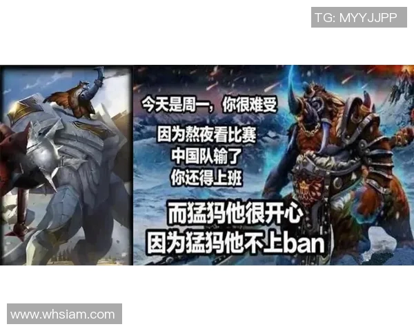 LNG在DOTA2阵地战中的表现分析与策略反思