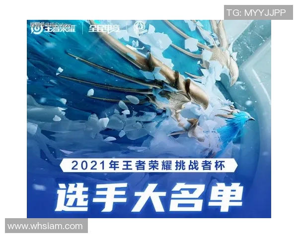 TES战队的蜕变之路：从荣耀巅峰到全新挑战的纪实探索