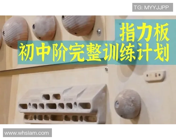 从零基础到高手：全面提升攀岩力量的实用指南与训练计划