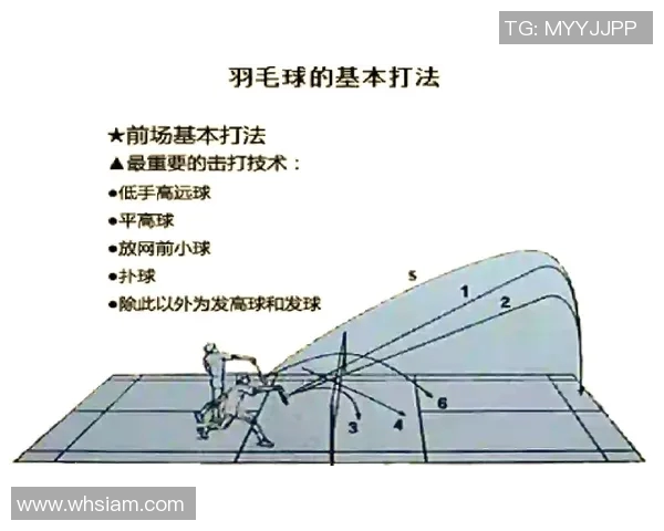 上海羽毛球队中路突破战术解析与实战应用研究
